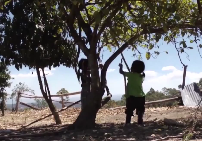 Salud reporta leve aumento de desnutrición en Sacatepéquez y Suchitepéquez salud-reporta-leve-aumento-de-desnutricion-en-sacatepequez-y-suchitepequez-150423-150837.png