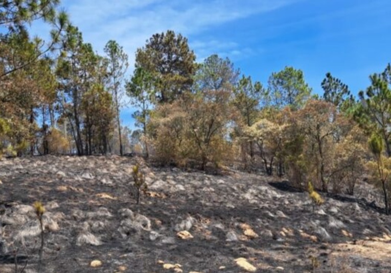 Totonicapán es el departamento con mas incendios forestales en el paí­s totonicap-n-es-el-departamento-con-mas-incendios-forestales-en-el-pais-175127-175211.jpg