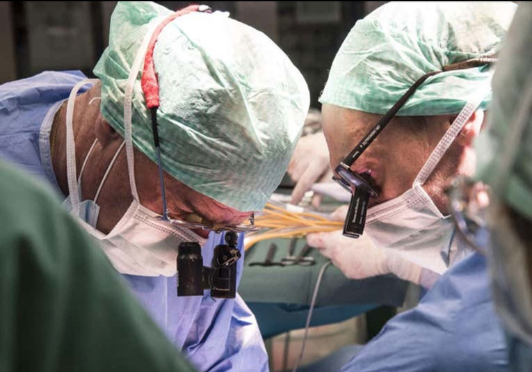 Trasplantan por primera vez en la historia un hígado humano conservado fuera del cuerpo durante 3 días
