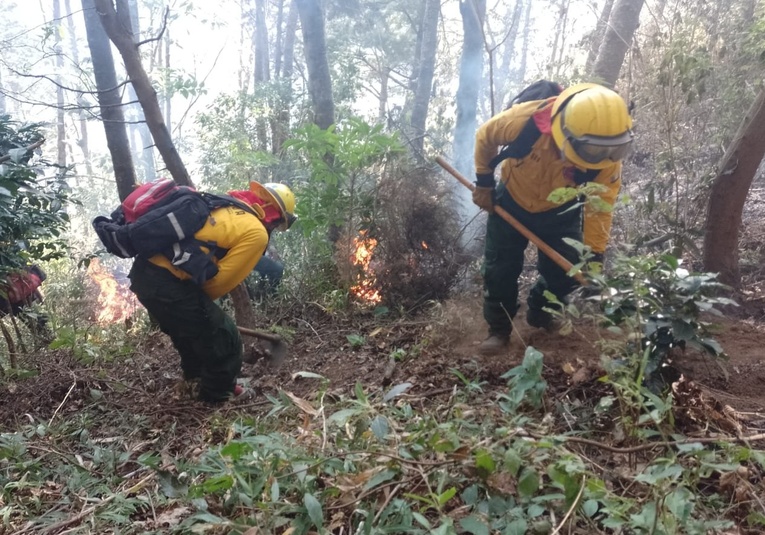Tres departamentos son los más afectados por incendios forestales en el país, según CONRED