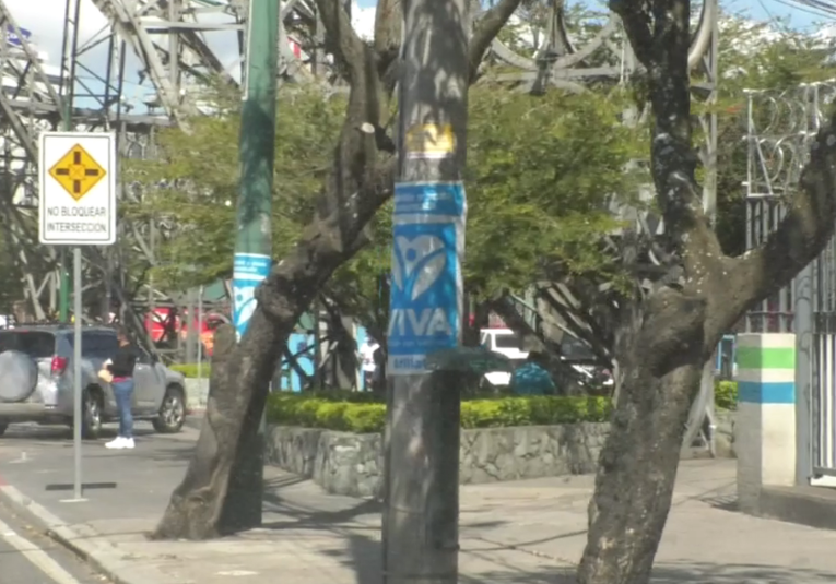 TSE sancionará a partidos polí­ticos que utilicen postes para hacer propaganda electoral tse-sancionar-a-partidos-politicos-que-utilicen-postes-para-hacer-propaganda-electoral-174303-174312.png