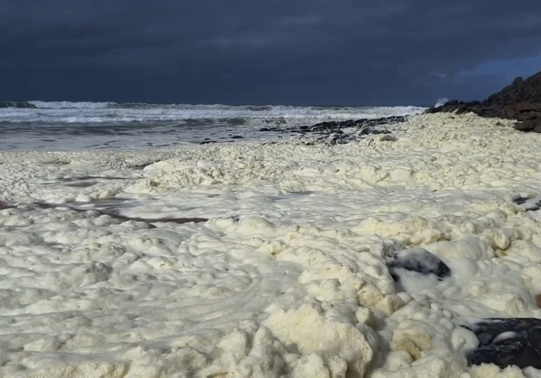 Una misteriosa espuma enferma a más de 100 surfistas una-misteriosa-espuma-enferma-a-m-s-de-100-surfistas-103042-103048.png