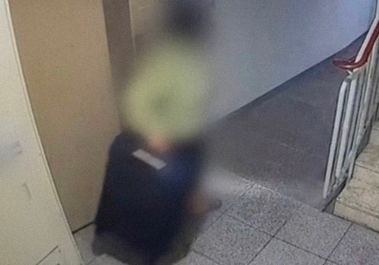 Una surcoreana asesina y mutila a su víctima porque tenía curiosidad por matar una-surcoreana-asesina-y-mutila-a-su-victima-porque-tenia-curiosidad-por-matar-153132-153145.png