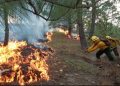 11 incendios forestales activos, según informe de CONRED