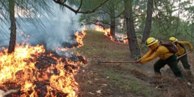 11 incendios forestales activos, según informe de CONRED