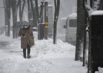 17 muertos en Japón a causa de fuertes nevadas