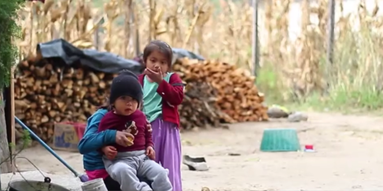 39 niños han fallecido a causa de desnutrición aguda