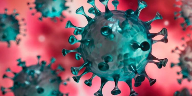 4 nuevas Cepas en el paí­s generan preocupación en el sector económico