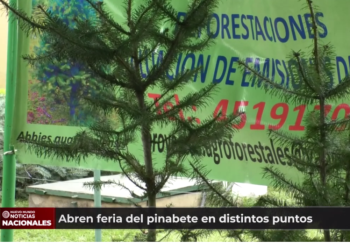 Abren feria del pinabete en distintos puntos