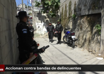 Accionan contra banda de delincuentes