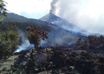 Actividad del Volcán de Pacaya ya causa grandes daños en la agricultura.
