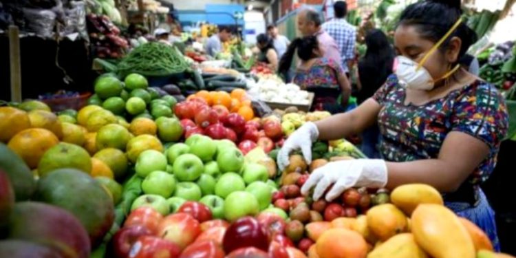 Actividades económicas logran recuperarse tras pandemia