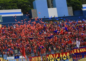 Afición con inminente regreso a los estadios