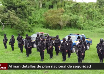 Afinan detalles de plan nacional de seguridad