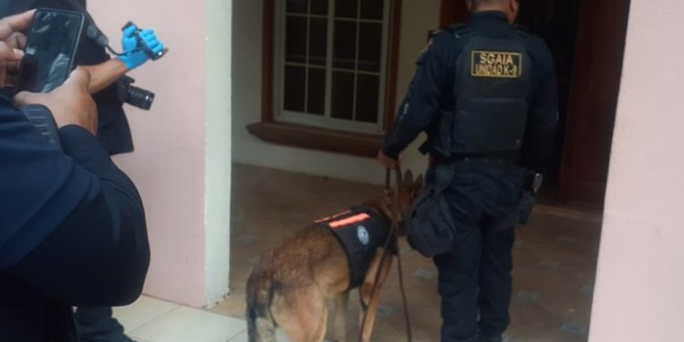 Agentes antinarcóticos realizan allanamientos en Malacatán y encuentran dinero y arma de fuego