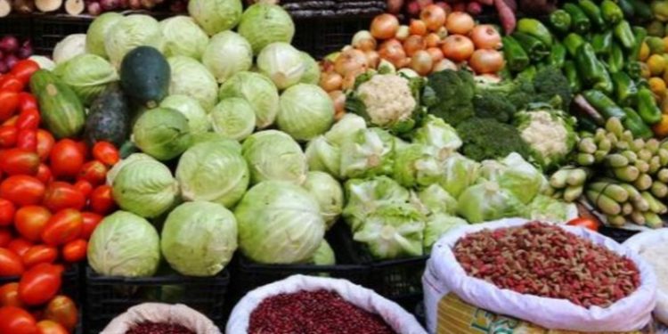 Alarmante Aumento de Precios: 84 Productos de la Canasta Básica Impactados