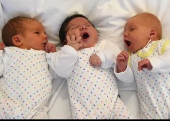 Alemania tiene menos habitantes de lo anteriormente estimado