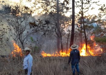 Alerta anaranjada declarada por CONRED debido a múltiples incendios forestales