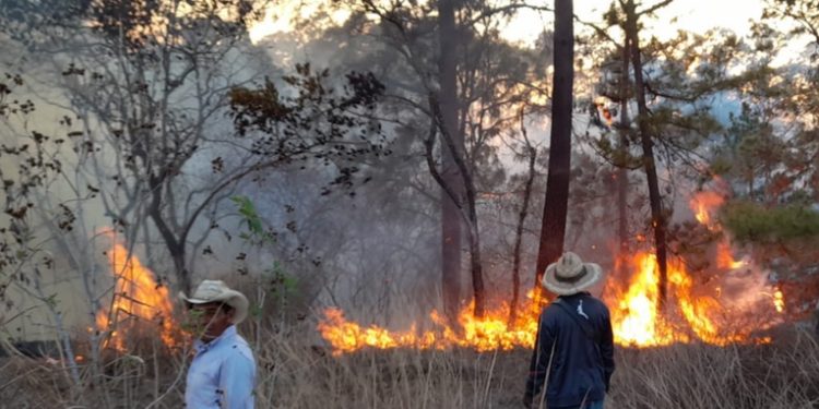 Alerta anaranjada declarada por CONRED debido a múltiples incendios forestales