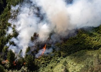 Alerta en Colombia por 31 incendios forestales activos