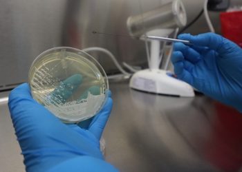 Alerta epidemiológica por peligroso hongo