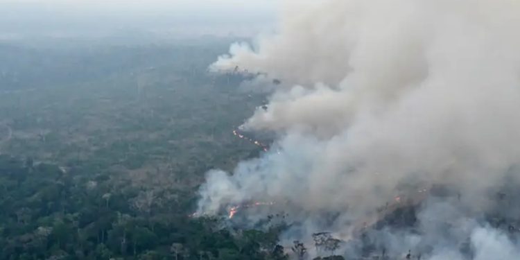 Alerta máxima en 30 ciudades de Brasil por incendios