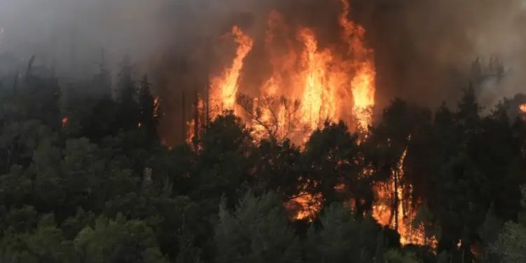 Alerta máxima por incendios en la región de Jerusalén