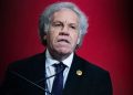 Almagro visitará Guatemala para supervisar proceso electoral