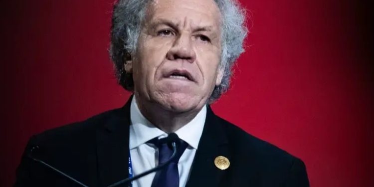 Almagro visitará Guatemala para supervisar proceso electoral