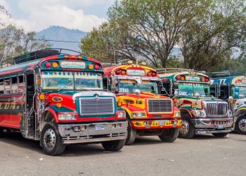 Alrededor 300 multas ha impuesto la Dirección General de Transporte a buses