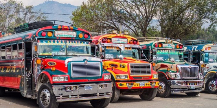 Alrededor 300 multas ha impuesto la Dirección General de Transporte a buses