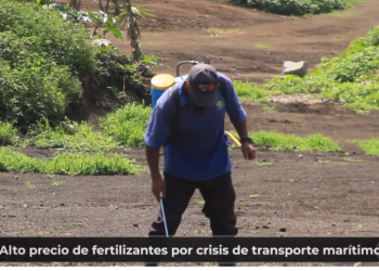 Alto precio de fertilizantes por crisis de transporte marí­timo