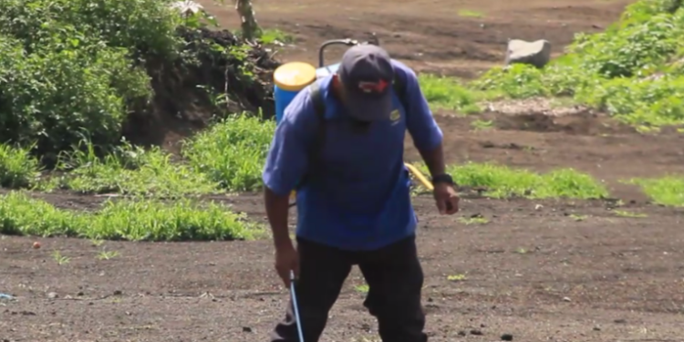 Alto precio de fertilizantes por crisis de transporte marí­timo