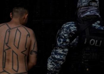 Altos mandos de pandillas salvadoreñas huyeron a México
