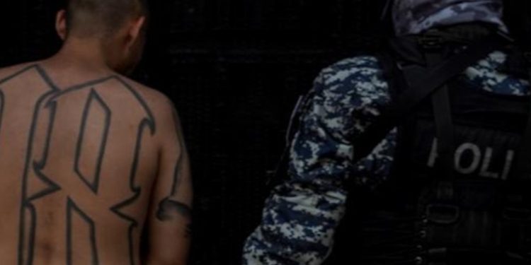 Altos mandos de pandillas salvadoreñas huyeron a México