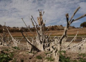 América Latina sedienta: los estragos de la sequí­a