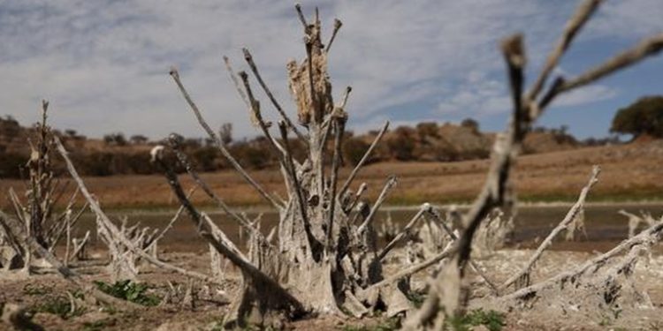América Latina sedienta: los estragos de la sequí­a
