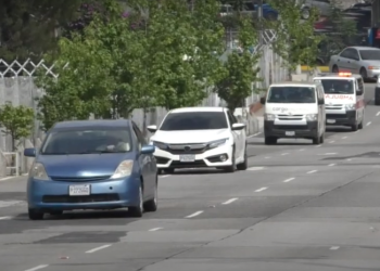 Aprueban la compra y venta de carros eléctricos en el paí­s