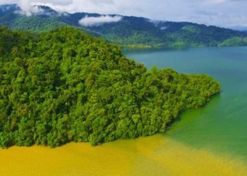 Aprueban ley que ayudará a las entidades ambientales para mejorar el medio ambiente del paí­s