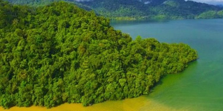 Aprueban ley que ayudará a las entidades ambientales para mejorar el medio ambiente del país