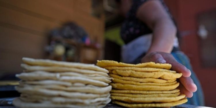 Arévalo descarta nuevos impuestos y desmiente cobro a tortillerías