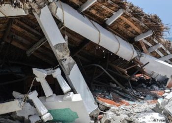 Argentina enví­a Cascos Blancos a Haití­ con ayuda humanitaria