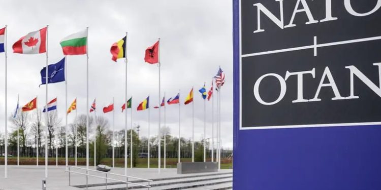 Argentina formalizó interés en ser 'socio global' de la OTAN