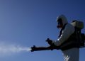 Argentina supera los 252.000 contagios de dengue en lo que va del año