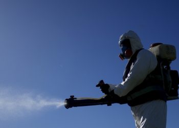Argentina supera los 252.000 contagios de dengue en lo que va del año