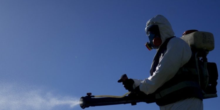 Argentina supera los 252.000 contagios de dengue en lo que va del año