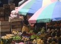 Asociación de mercados anuncia cierre de mercados en la capital en apoyo a marcha