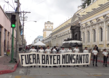 Asociaciones campesinas protestaron frente al Congreso