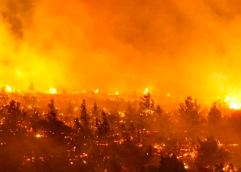 Aumenta el balance de ví­ctimas de los incendios en Chile: 23 muertos y casi mil heridos