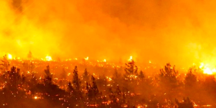 Aumenta el balance de ví­ctimas de los incendios en Chile: 23 muertos y casi mil heridos